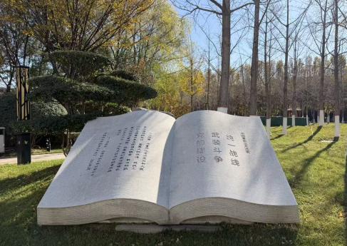 1764570336722615.jpg 图片3.jpg